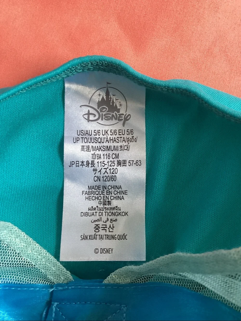 Disney princess jasmine costume